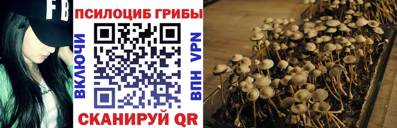где купить наркоту  Армянск  ОМГ ОМГ сайт  shop Telegram  Псилоцибиновые грибы Magic Shrooms 